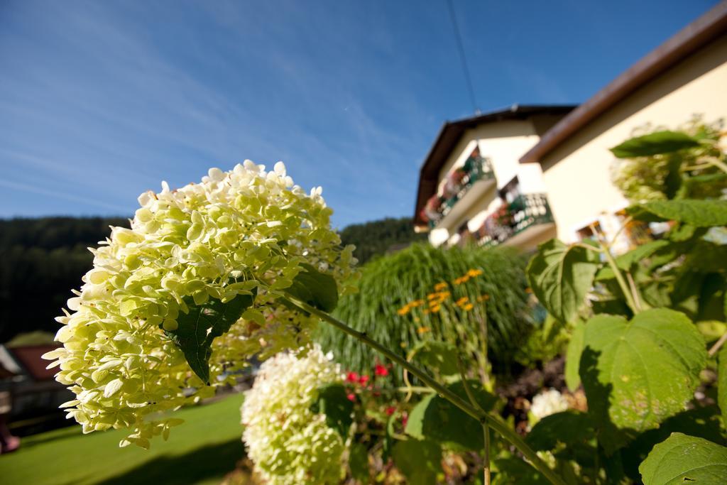 Hotel Moenichwalderhof Exteriör bild